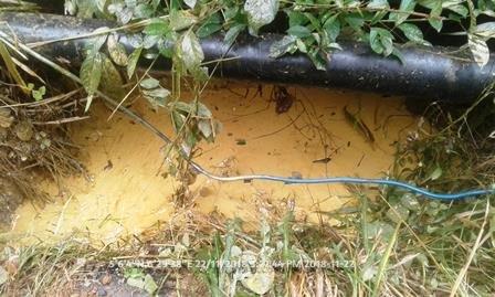 JIV PIC SHOWING CONTAINMENT PIT
